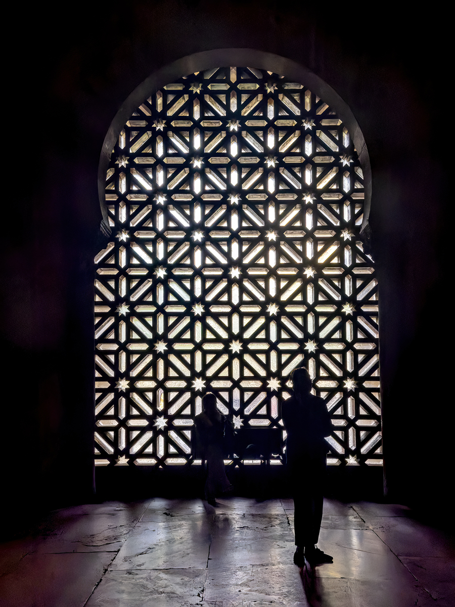 Plucinski Ruth Contemplation in Silhoutte Pictorial   Class A 20260415